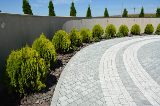 Best Driveway Pavers Near Me  in Somerset, NJ